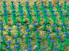 Asters Çiçeği HO 1/87