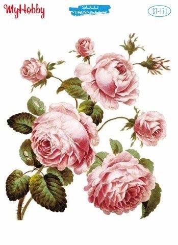 Sulu Transfer 25x35cm ST-171