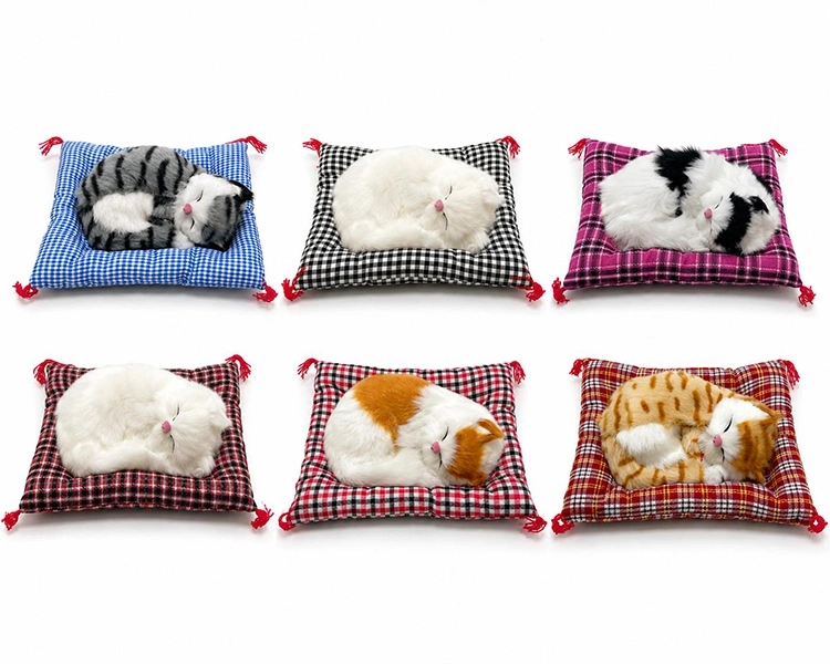 Yastıkta Uyuyan Kedi Sesli Alk24