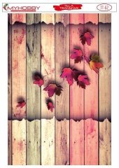 Tela Transfer Yapışkanlı 35x50cm TT-62