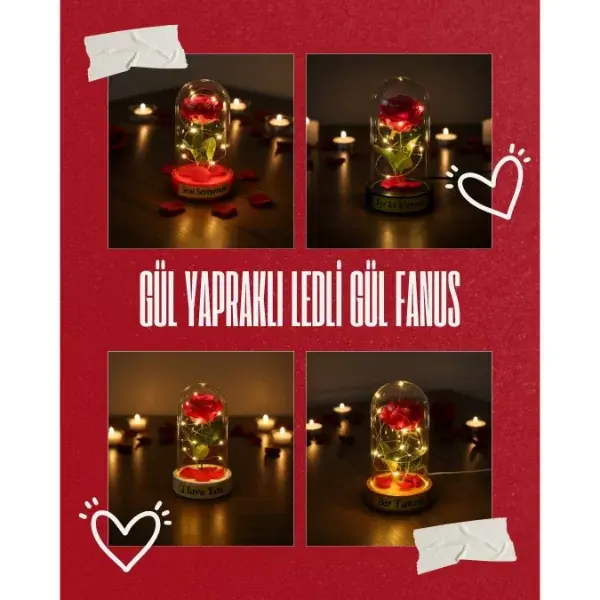 Gül Yapraklı Ledli Gül Fanus