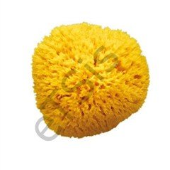 OkBaby Jelly Küvet Aparatı & Splash Bebek Duşu & Doğal Banyo Süngeri No.10 / Beyaz