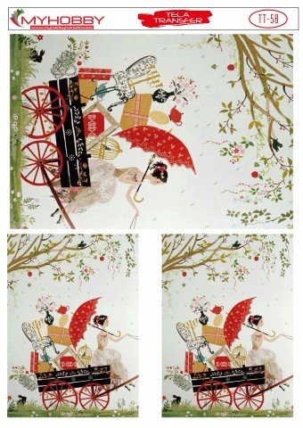 Tela Transfer Yapışkanlı 35x50cm TT-58