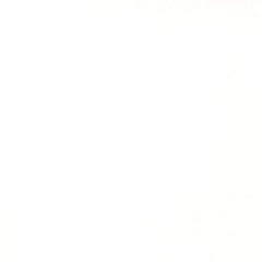 Akrilik Mürekkep 30ml - Titanium White