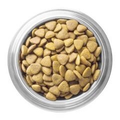 Animal World Kuzu Etli ve Pirinçli Yetişkin Köpek Maması 1kg Açık mama