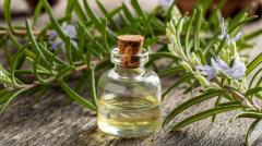 Biberiye Yağı 10 ML