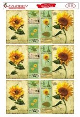 Tela Transfer Yapışkanlı 35x50cm TT-36
