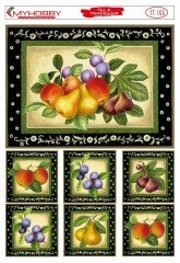 Tela Transfer 35x50cm TT-166