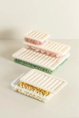 6’lı Set Freshbox Mikrodalga Ve Dipfrize Uygun Saklama Kabı Set 3 - X6 0,6 Lt Krem