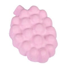 Karlie Kemirme Taşi Ahududu 60Gr