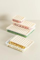 6'lı Set Freshbox Mikrodalga Ve Dipfrize Uygun Saklama Kabı Set 4 Krem