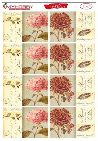Tela Transfer Yapışkanlı 35x50cm TT-37
