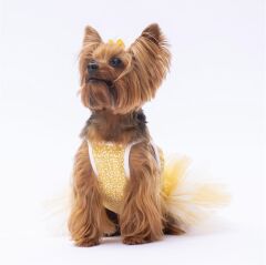 PawStar Yellow Polka-Dot XL 34 x 38 x 55 cm