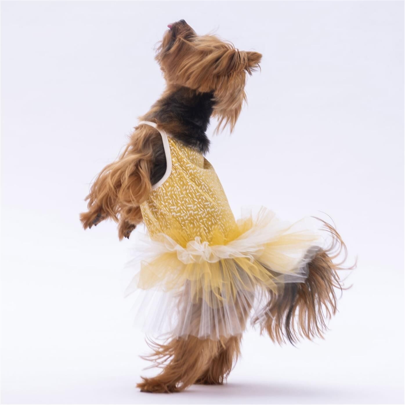 PawStar Yellow Polka-Dot M 28 x 26 x 41 cm