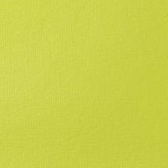 Basics Akrilik 118ml - Brilliant Yellow Green 840