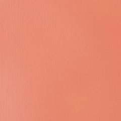 Basics Akrilik 118ml - Light Portrait Pink 810