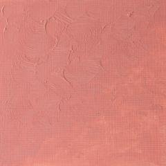Winton Yağlı Boya 37ml - N:257 Flesh Tint