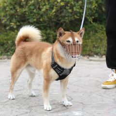 Karamel Pet Metal Deri Köpek Ağızlığı S 30 cm