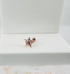 Tragus Kıkırdak Küpesi