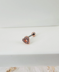 Tragus Kıkırdak Küpesi