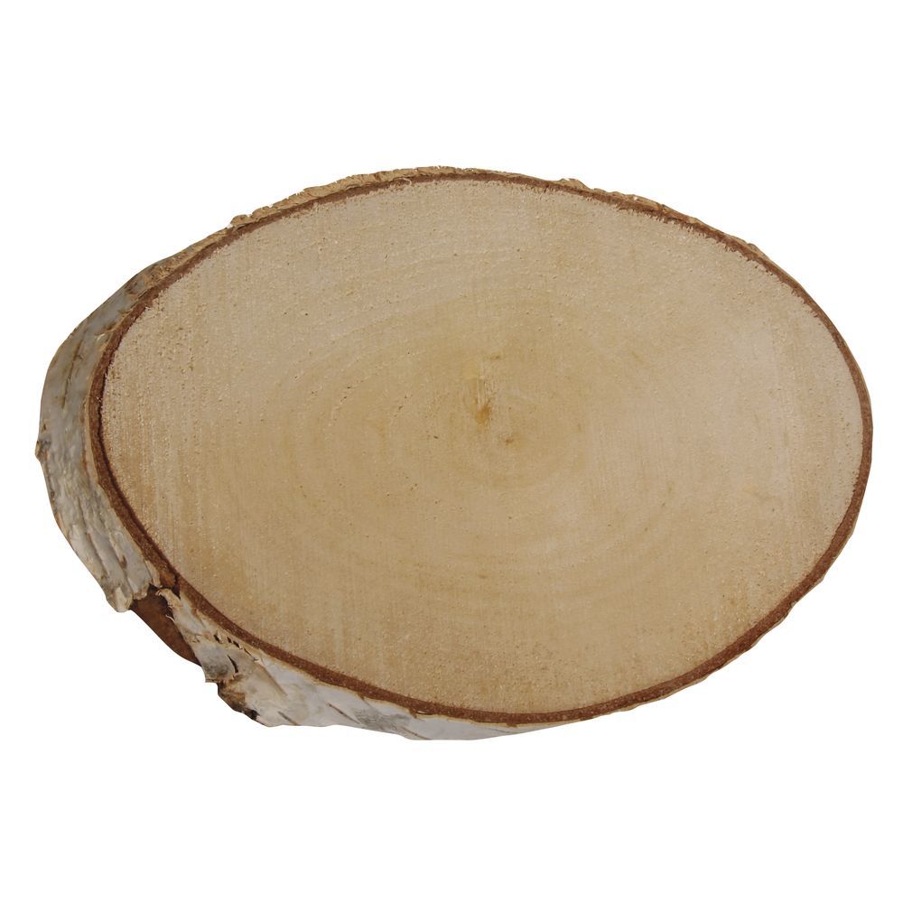 Doğal Huş Ağacı Parçası - Oval