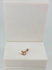 Tragus Kıkırdak Küpesi