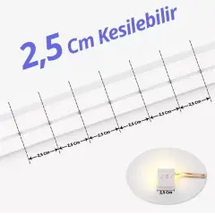 Powermaster Pm-5286 Silikon Kaplama 12 Volt 100 Metre Mavi Neon Led Şerit Aydınlatma