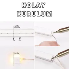 Powermaster Pm-5286 Silikon Kaplama 12 Volt 100 Metre Mavi Neon Led Şerit Aydınlatma