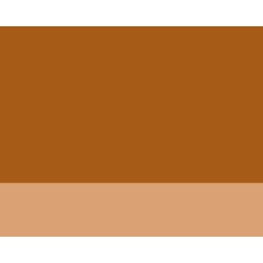 Artist Yağlı Boya 40ml - S1 N:482 Raw Sienna