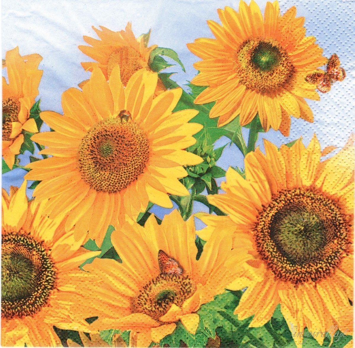 Peçete 20'li - 33x33cm - SDOG011701