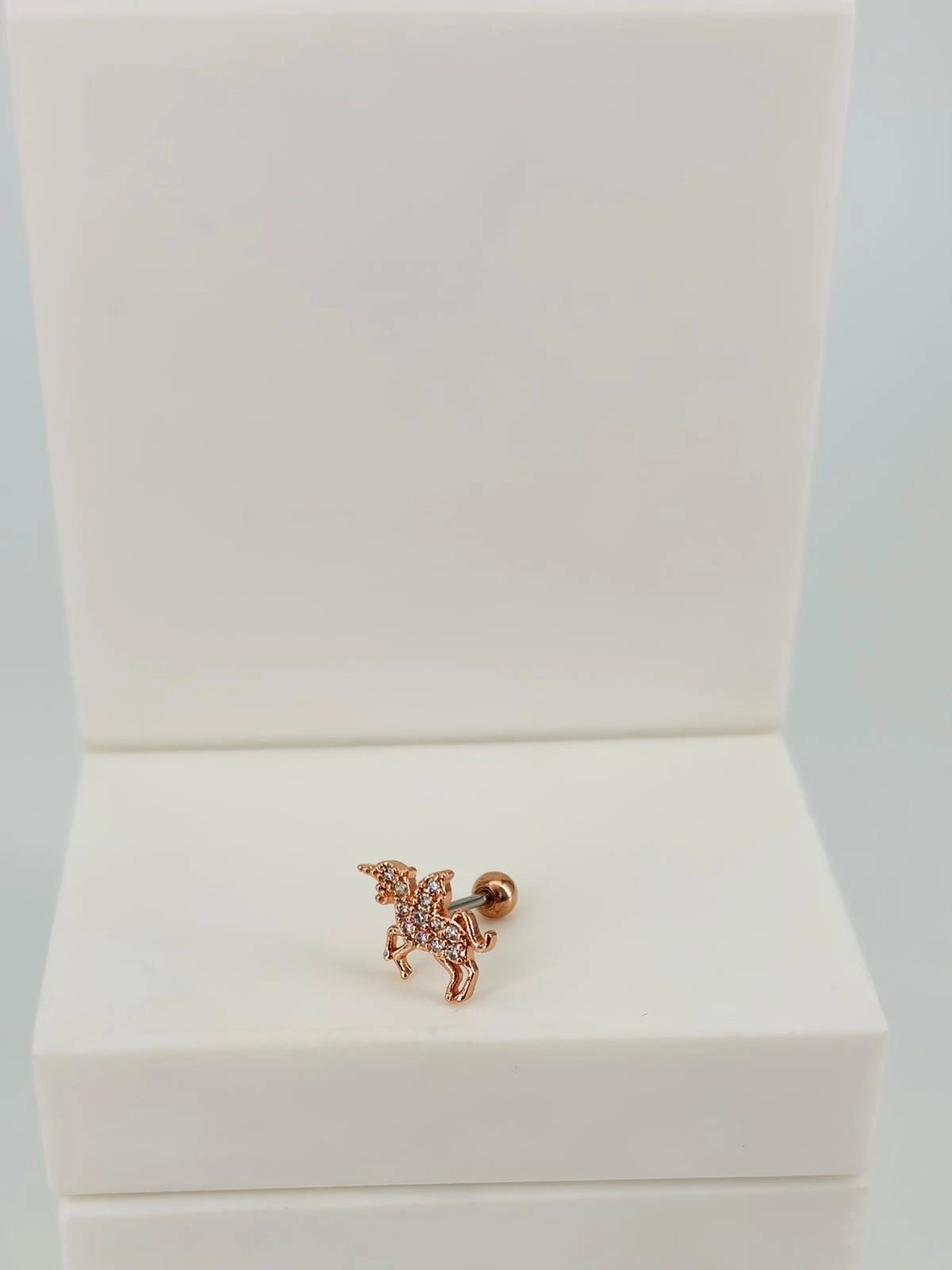 Tragus Kıkırdak Küpesi