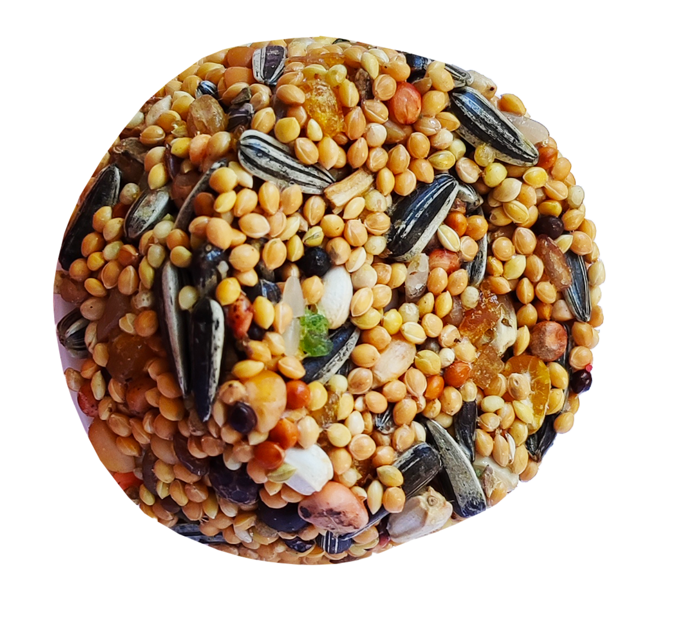 Markapet Pareket Papağan Ballı Meyveli Mineral Blok 100 gr