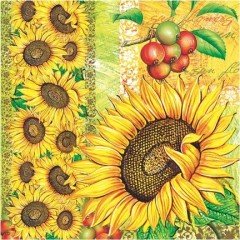 Peçete 20'li - 33x33cm - SDOG004101