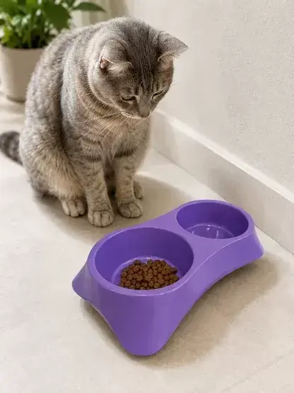 İkili Model Beton Kedi Köpek Mama Ve Su Kabı (24cm × 12cm × 5cm) - Mor