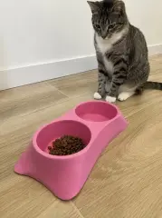 İkili Model Beton Kedi Köpek Mama Ve Su Kabı (24cm × 12cm × 5cm) - Pembe