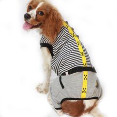 Arrow Romper Köpek Tulumu Kıyafeti XX Large