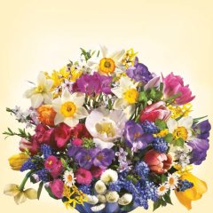 Peçete 20'li - 33x33cm - SDWI003001