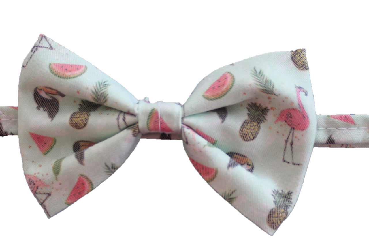 Tropic Küçük Köpek Papyonu 38 cm