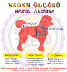 Çizgili Yıldızlı Penye Tulum Kedi Köpek Kıyafeti Medium