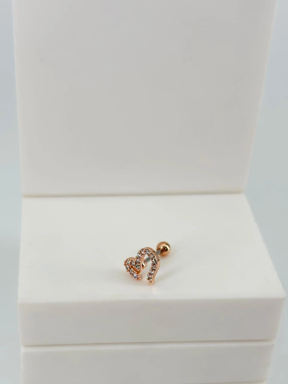 Tragus Kıkırdak Küpesi