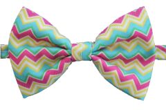 Zikzak Köpek Papyonu 26-56 Cm