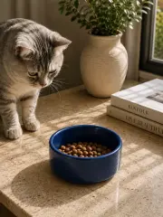 Kase Model Beton Kedi Köpek Mama Ve Su Kabı (15cm Çap × 5cm) - Lacivert