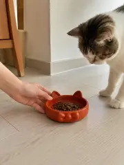Papyon Model Beton Kedi Köpek Mama Ve Su Kabı 16 Cm Çap - Kiremit