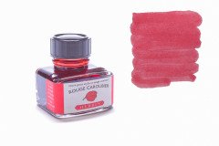 Dolma Kalem Şise Mürekkep 30ml - Rouge Caroubier