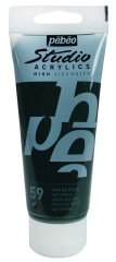 Studio Akrilik Boya - Sap Green - 100ml - N:59