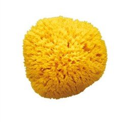 OkBaby Onda Evol Banyo Küveti & Splash Bebek Duşu & Doğal Banyo Süngeri No.10 / Beyaz