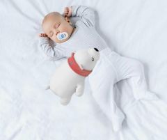 Fisher-Price Soft Kumaş Oyun Arkadaşım Büyük Kutup Ayısı