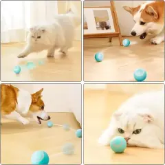 İnteraktif Kedi Köpek Şarjlı Oyun Topu