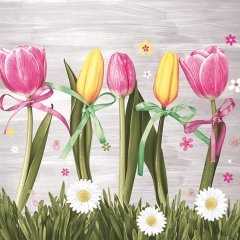 Peçete 20'li - 33x33cm - N:SLWI004501