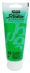 Studio Akrilik Boya - Cadmium Green Hue - 100ml - N:43